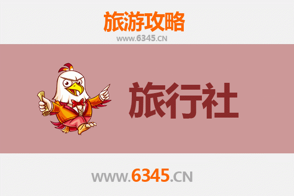 乐东黄流镇本地旅行社推荐：深度探索黎族文化与自然奇观
